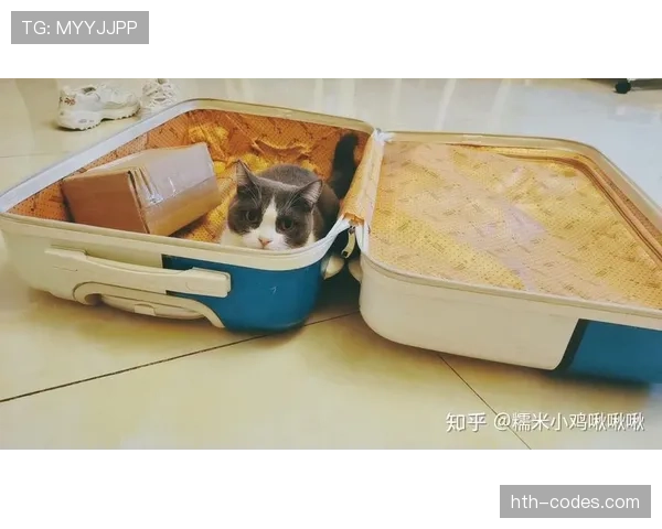朱婷家的猫都吃进口罐头，我还在纠结外卖满减